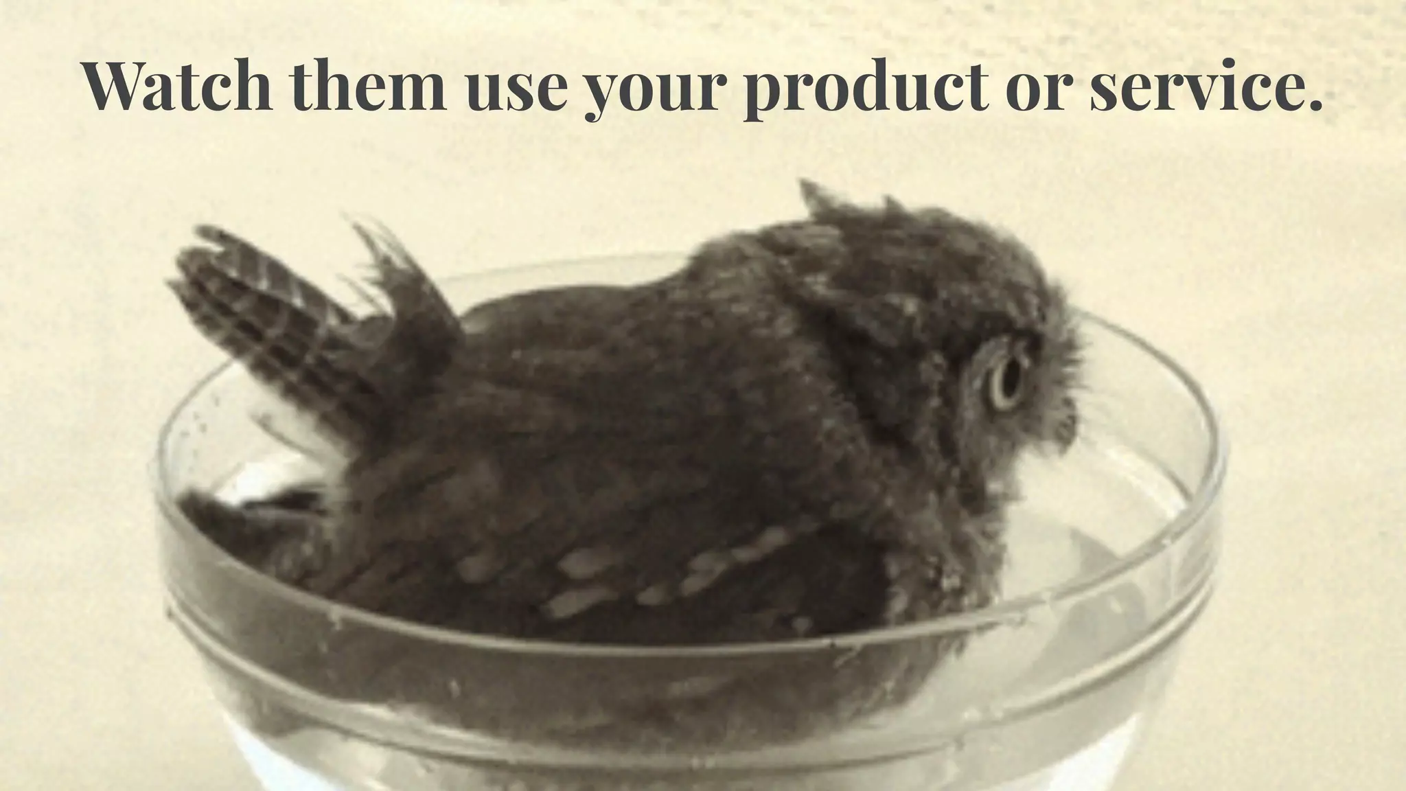 Watch them use your product or service.
 