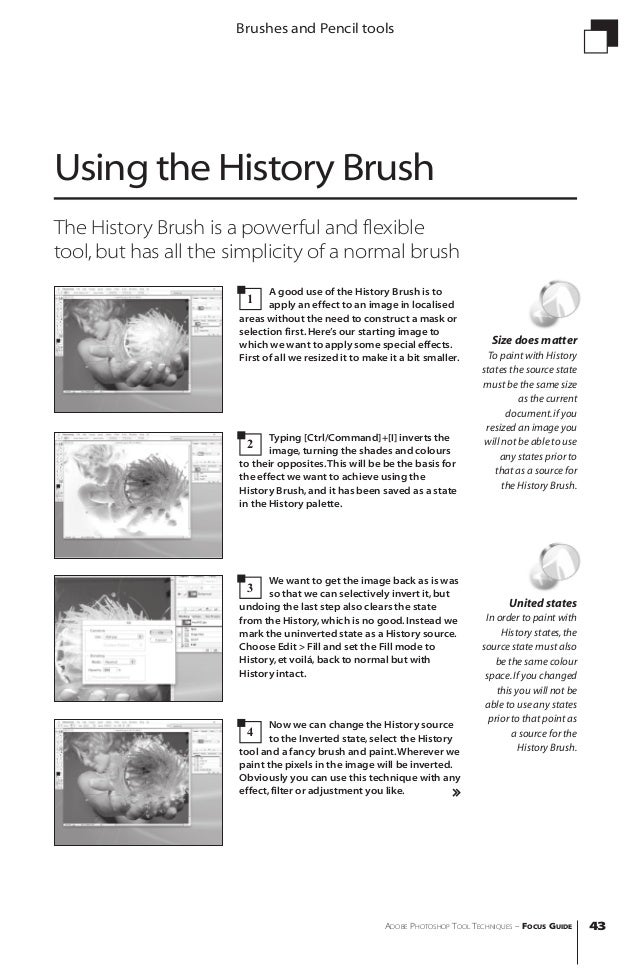 history brush Version & Release History of Adobe