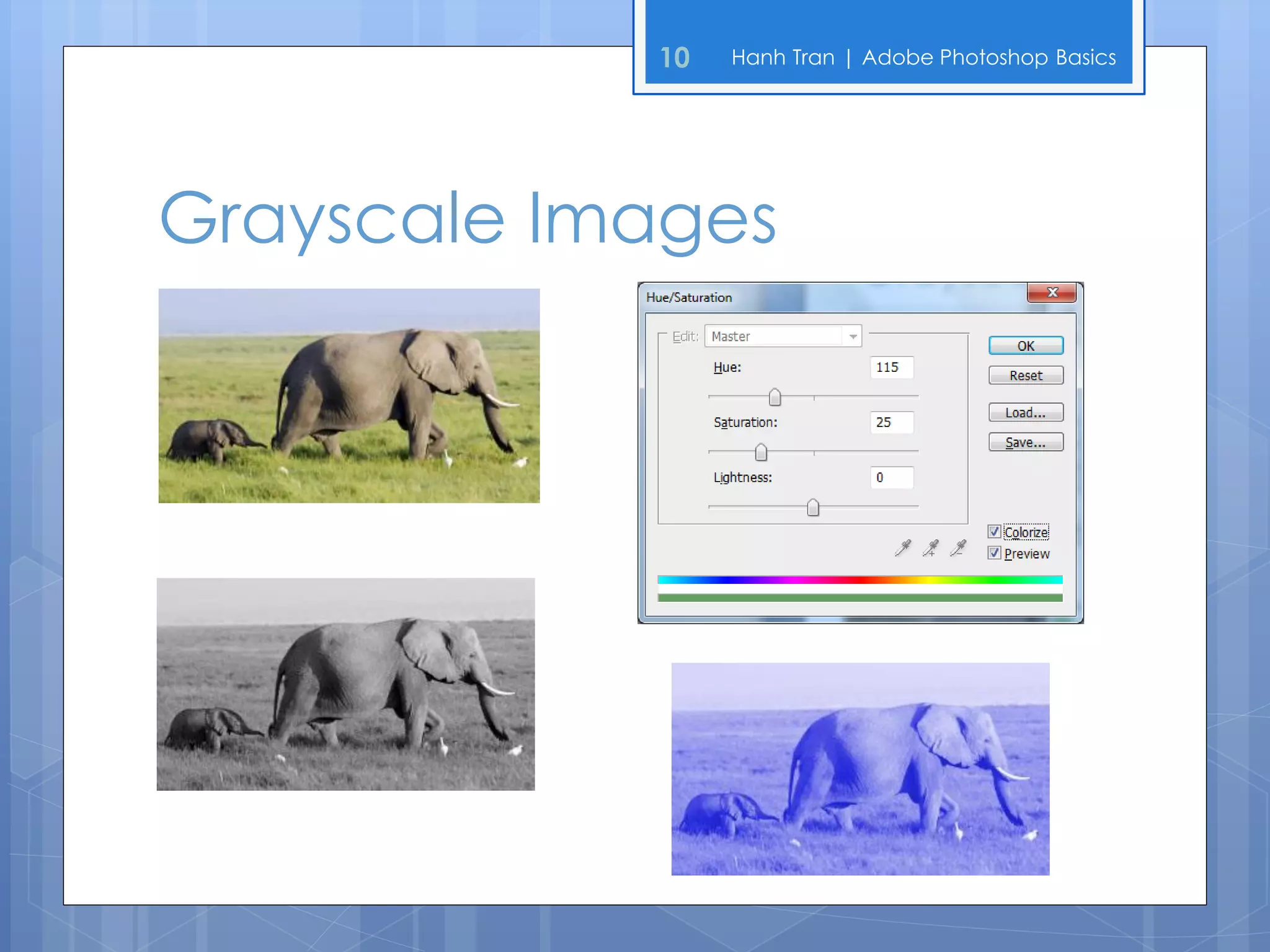 10   Hanh Tran | Adobe Photoshop Basics




Grayscale Images
 