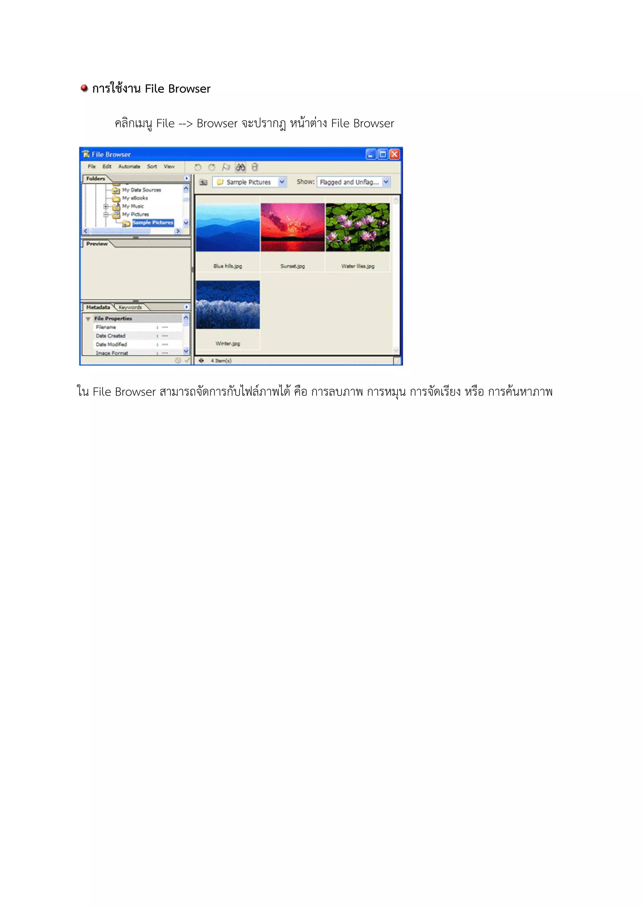 การใช้งาน File Browser
คลิกเมนู File --> Browser จะปรากฎ หน้าต่าง File Browser
ใน File Browser สามารถจัดการกับไฟล์ภาพได้ คือ การลบภาพ การหมุน การจัดเรียง หรือ การค้นหาภาพ
 
