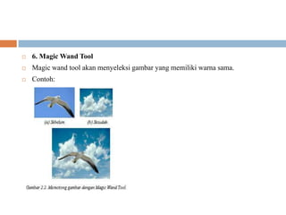    6. Magic Wand Tool
   Magic wand tool akan menyeleksi gambar yang memiliki warna sama.
   Contoh:
 