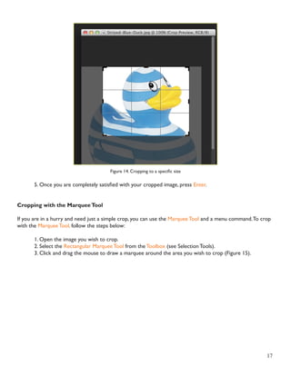 17 
Figure 14. Cropping to a specific size 
5. Once you are completely satisfied with your cropped image, press Enter. 
Cropping with the Marquee Tool 
If you are in a hurry and need just a simple crop, you can use the Marquee Tool and a menu command. To crop 
with the Marquee Tool, follow the steps below: 
1. Open the image you wish to crop. 
2. Select the Rectangular Marquee Tool from the Toolbox (see Selection Tools). 
3. Click and drag the mouse to draw a marquee around the area you wish to crop (Figure 15). 
 