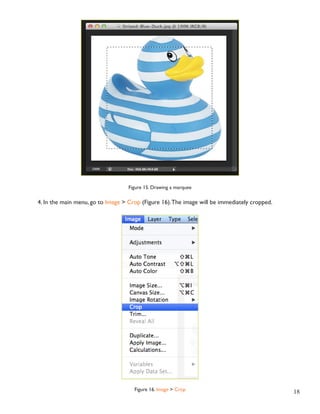 18 
Figure 15. Drawing a marquee 
4. In the main menu, go to Image > Crop (Figure 16). The image will be immediately cropped. 
Figure 16. Image > Crop 
 