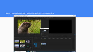 Here i changed the speed, and put the clips into slow motion.
 