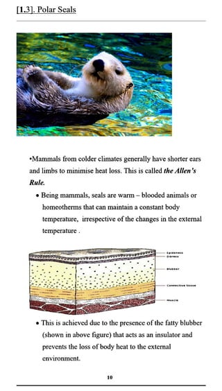BIOLOGY INVESTIGATORY PROJECT ON ADAPTATION IN ANIMALS AND PLANTS | PDF