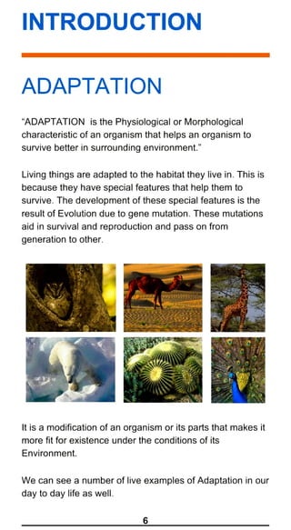 BIOLOGY INVESTIGATORY PROJECT ON ADAPTATION IN ANIMALS AND PLANTS