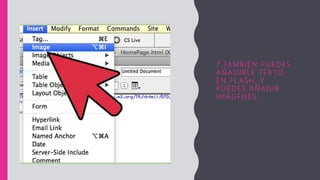 7 .TA MBIÉN P U EDES
A Ñ A D IRLE T EX TO
E N F L AS H, Y
P U EDES A Ñ A D IR
I M Á GENES .
 
