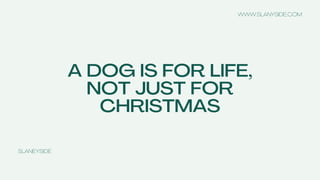 A DOG IS FOR LIFE,
NOT JUST FOR
CHRISTMAS
SLANEYSIDE
WWW.SLANYSIDE.COM
 