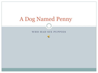 A Dog Named Penny

   WHO HAD SIX PUPPIES
 