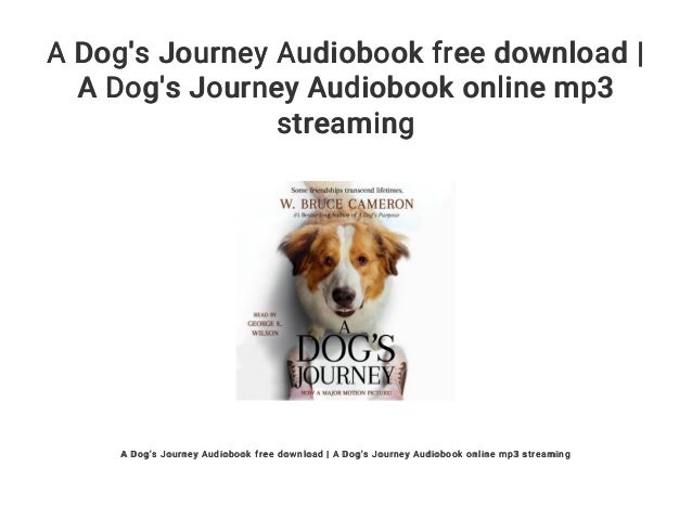 a dog's journey book
