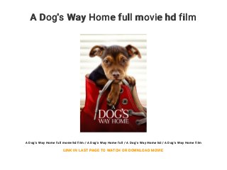 A Dog's Way Home full movie hd film