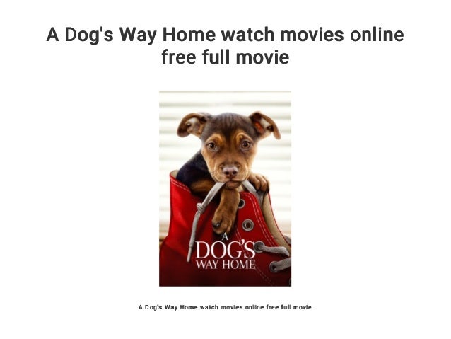 A Dog's Way Home watch movies online free full movie