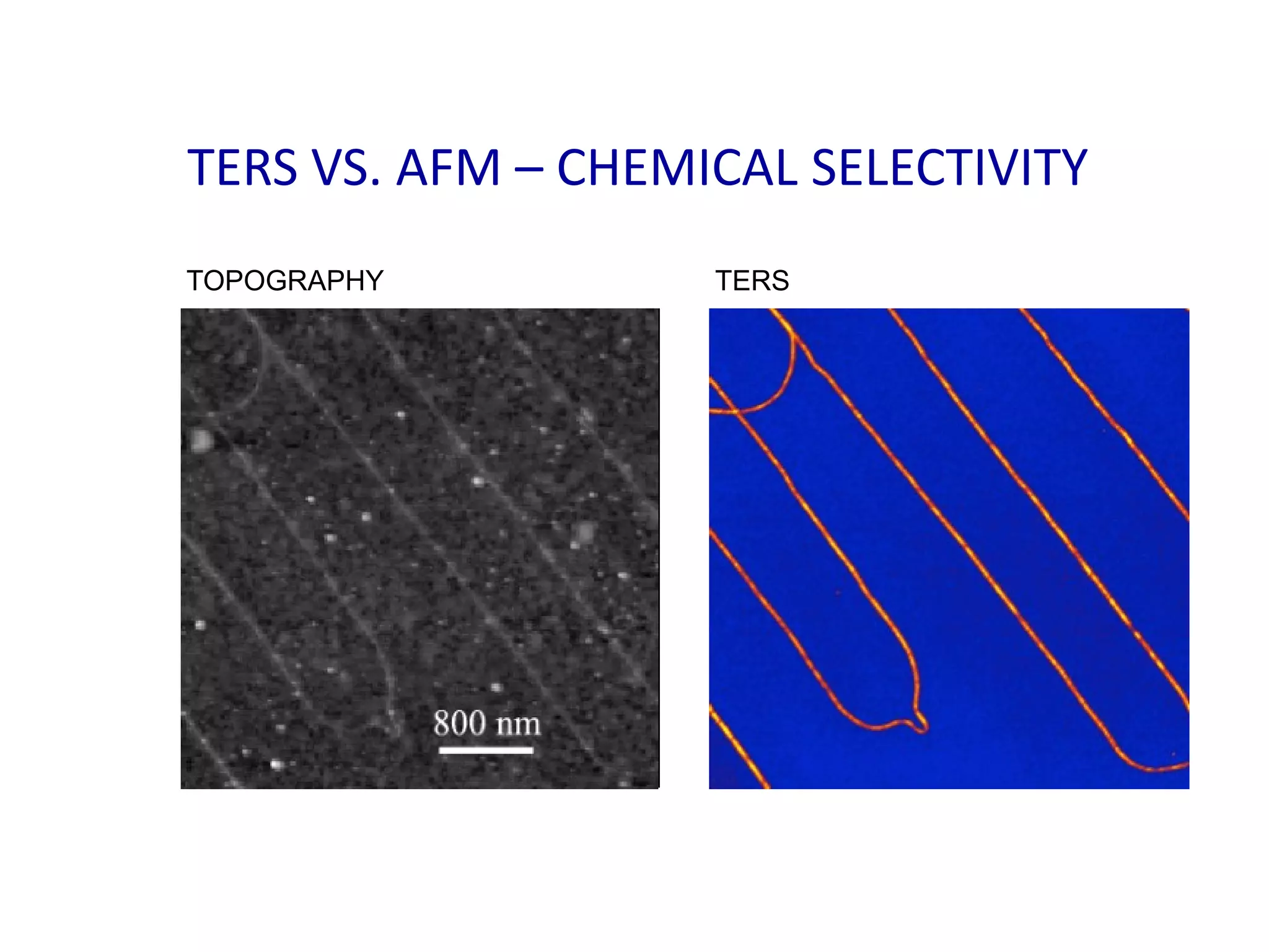 TERS VS. AFM – CHEMICAL SELECTIVITY
TOPOGRAPHY TERS
 