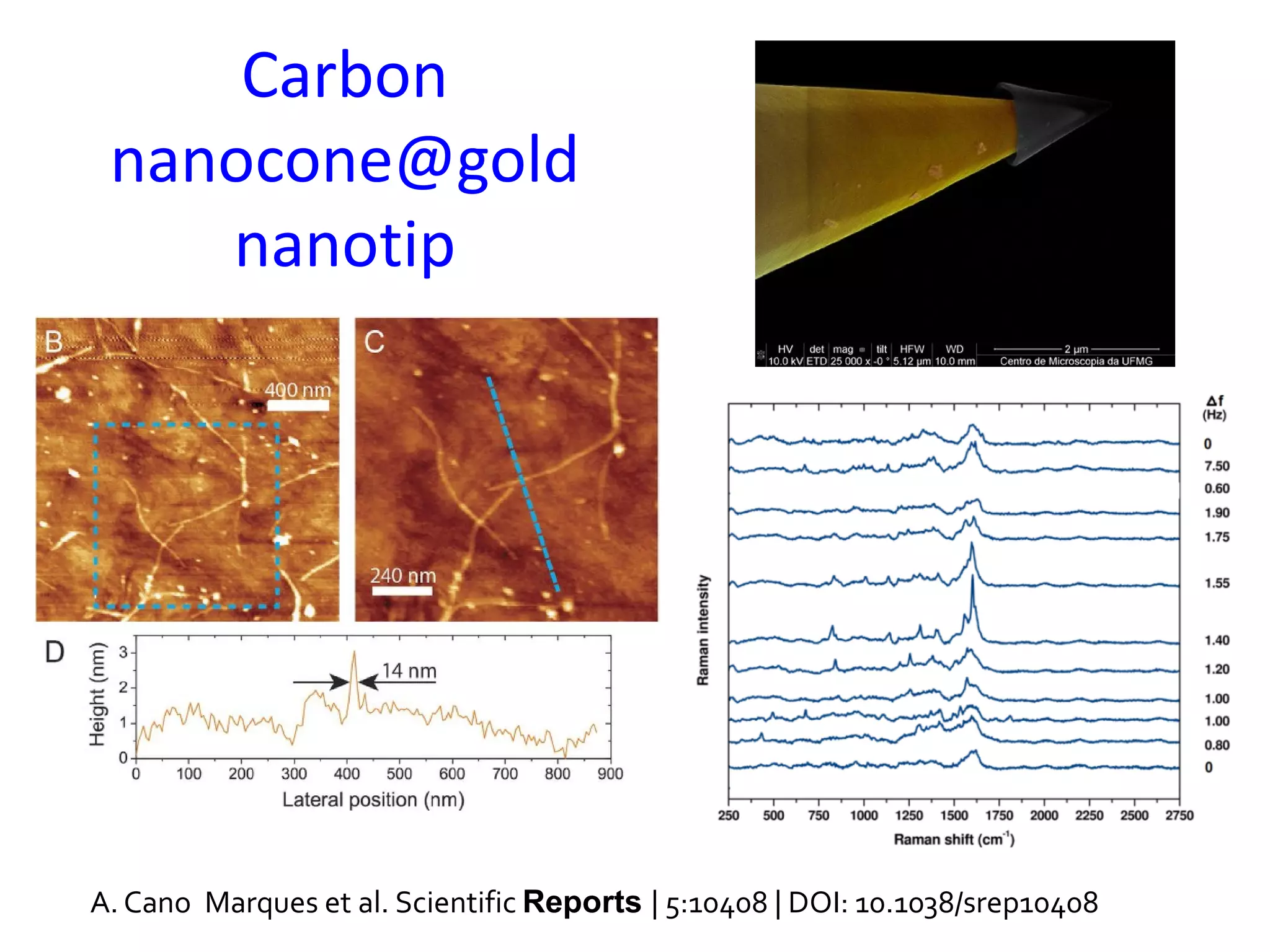 A. Cano Marques et al. Scientific Reports | 5:10408 | DOI: 10.1038/srep10408
Carbon
nanocone@gold
nanotip
 