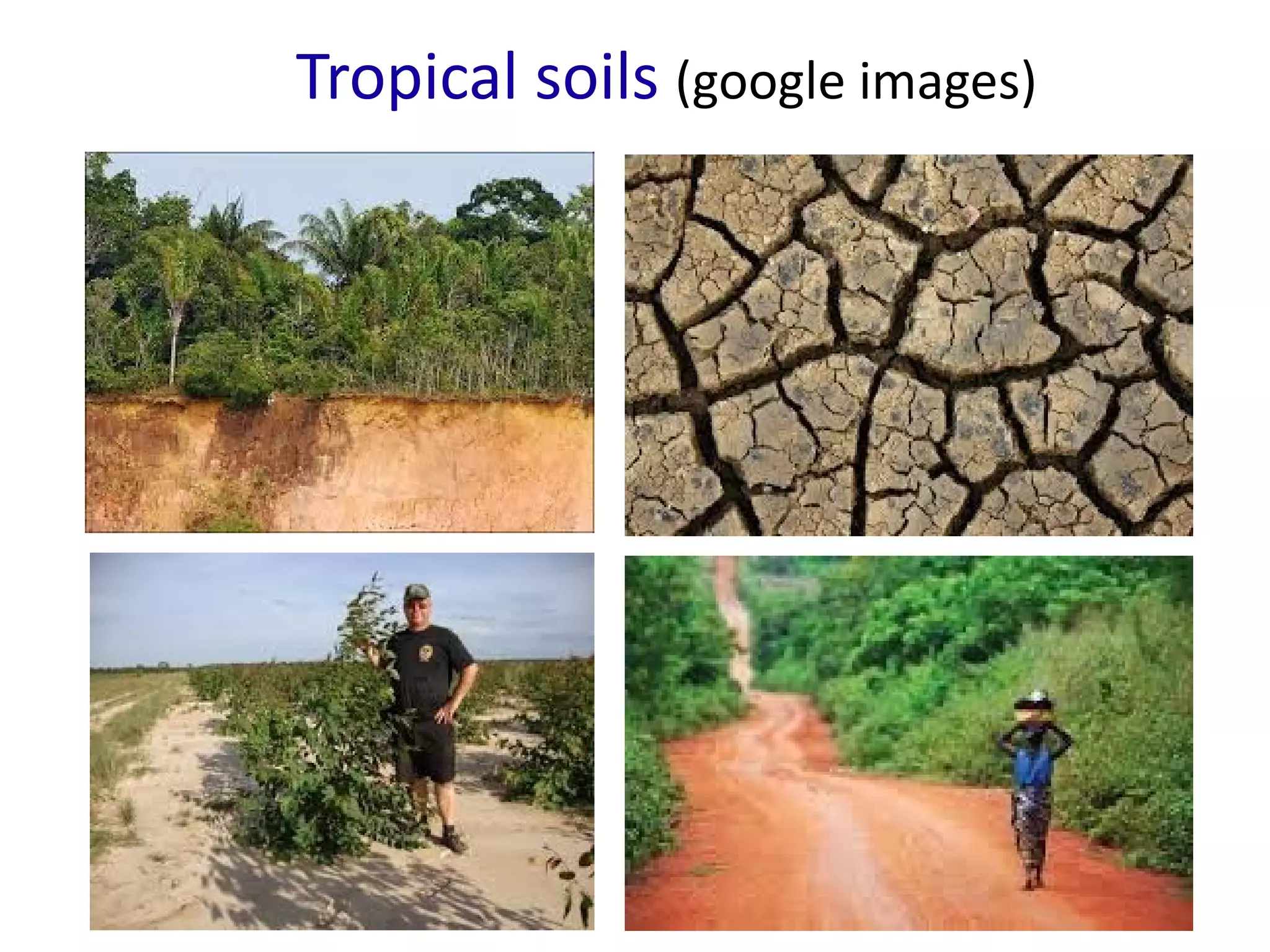 Tropical soils (google images)
 