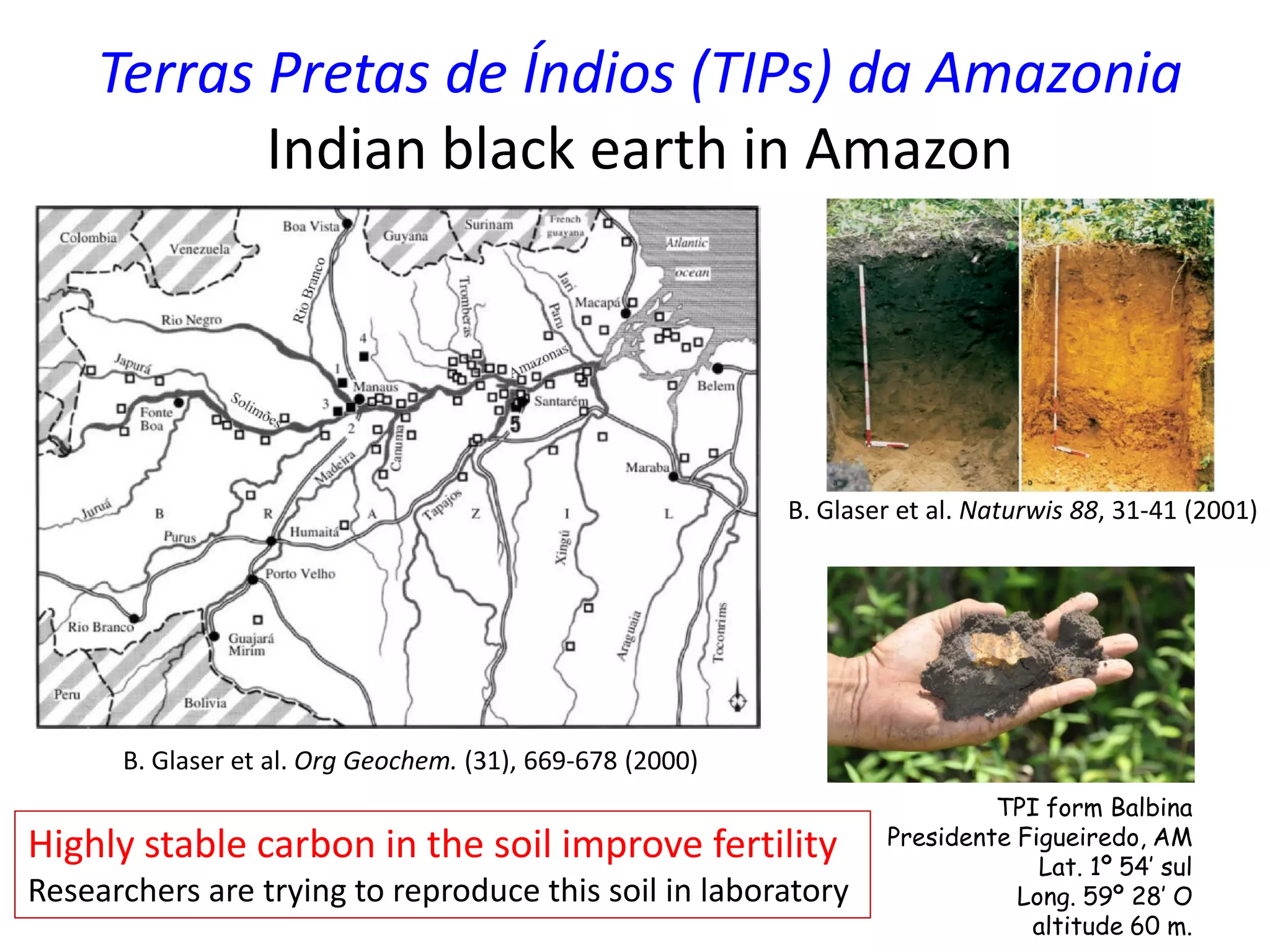 Terras Pretas de Índios (TIPs) da Amazonia
Indian black earth in Amazon
B. Glaser et al. Naturwis 88, 31-41 (2001)
B. Glaser et al. Org Geochem. (31), 669-678 (2000)
Highly stable carbon in the soil improve fertility
Researchers are trying to reproduce this soil in laboratory
TPI form Balbina
Presidente Figueiredo, AM
Lat. 1º 54’ sul
Long. 59º 28’ O
altitude 60 m.
 