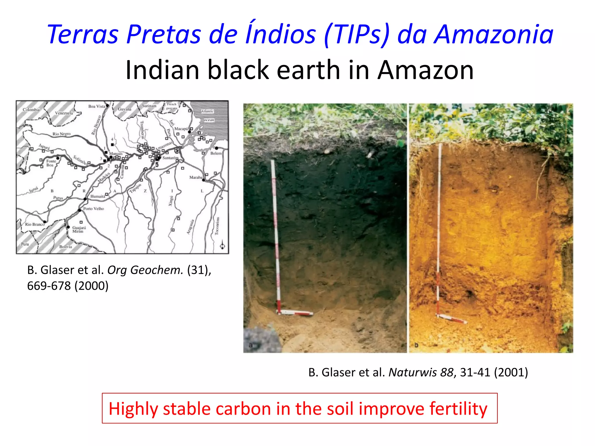 Terras Pretas de Índios (TIPs) da Amazonia
Indian black earth in Amazon
B. Glaser et al. Naturwis 88, 31-41 (2001)
B. Glaser et al. Org Geochem. (31),
669-678 (2000)
Highly stable carbon in the soil improve fertility
 