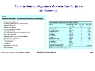 Características singulares do crescimento físico
de humanos
 