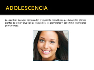 Los cambios dentales comprenden crecimiento mandibular, pérdida de los últimos
dientes de leche y erupción de los caninos, los premolares y, por último, los molares
permanentes.
 