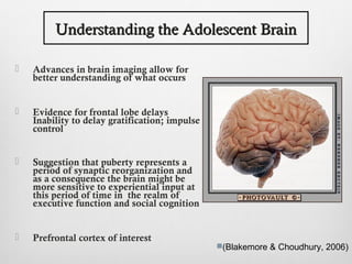 Understanding the Adolescent Brain

   Advances in brain imaging allow for
    better understanding of what occurs


   Evidence for frontal lobe delays
    Inability to delay gratification; impulse
    control


   Suggestion that puberty represents a
    period of synaptic reorganization and
    as a consequence the brain might be
    more sensitive to experiential input at
    this period of time in the realm of
    executive function and social cognition


   Prefrontal cortex of interest
                                                (Blakemore & Choudhury, 2006)
 