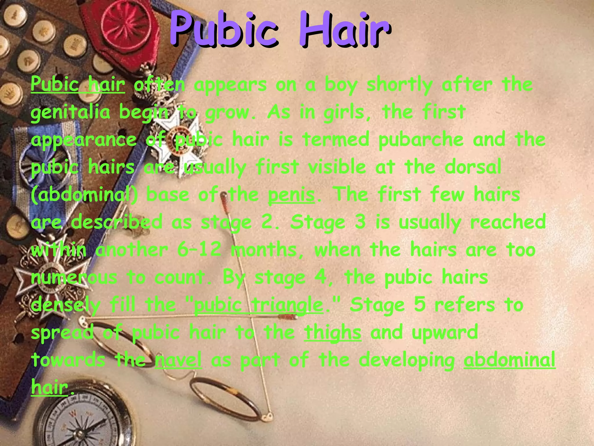 Pubic Hair Pubic hair  often appears on a boy shortly after the genitalia begin to grow. As in girls, the first appearance of pubic hair is termed pubarche and the pubic hairs are usually first visible at the dorsal (abdominal) base of the  penis . The first few hairs are described as stage 2. Stage 3 is usually reached within another 6–12 months, when the hairs are too numerous to count. By stage 4, the pubic hairs densely fill the " pubic triangle ." Stage 5 refers to spread of pubic hair to the  thighs  and upward towards the  navel  as part of the developing  abdominal hair . 
