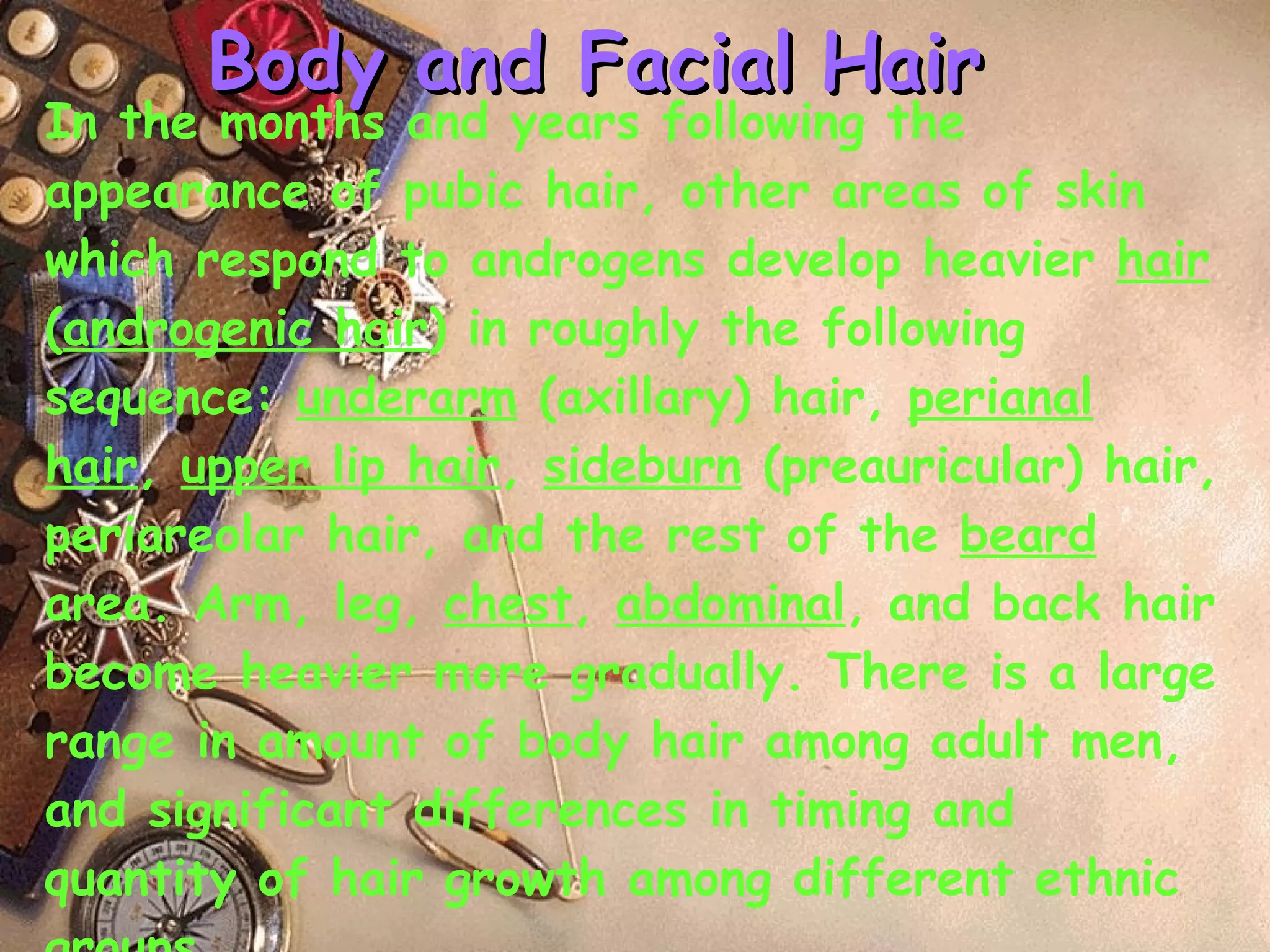 Body and Facial Hair In the months and years following the appearance of pubic hair, other areas of skin which respond to androgens develop heavier  hair  ( androgenic hair ) in roughly the following sequence:  underarm  (axillary) hair,  perianal hair ,  upper lip hair ,  sideburn  (preauricular) hair, periareolar hair, and the rest of the  beard  area. Arm, leg,  chest ,  abdominal , and back hair become heavier more gradually. There is a large range in amount of body hair among adult men, and significant differences in timing and quantity of hair growth among different ethnic groups. 