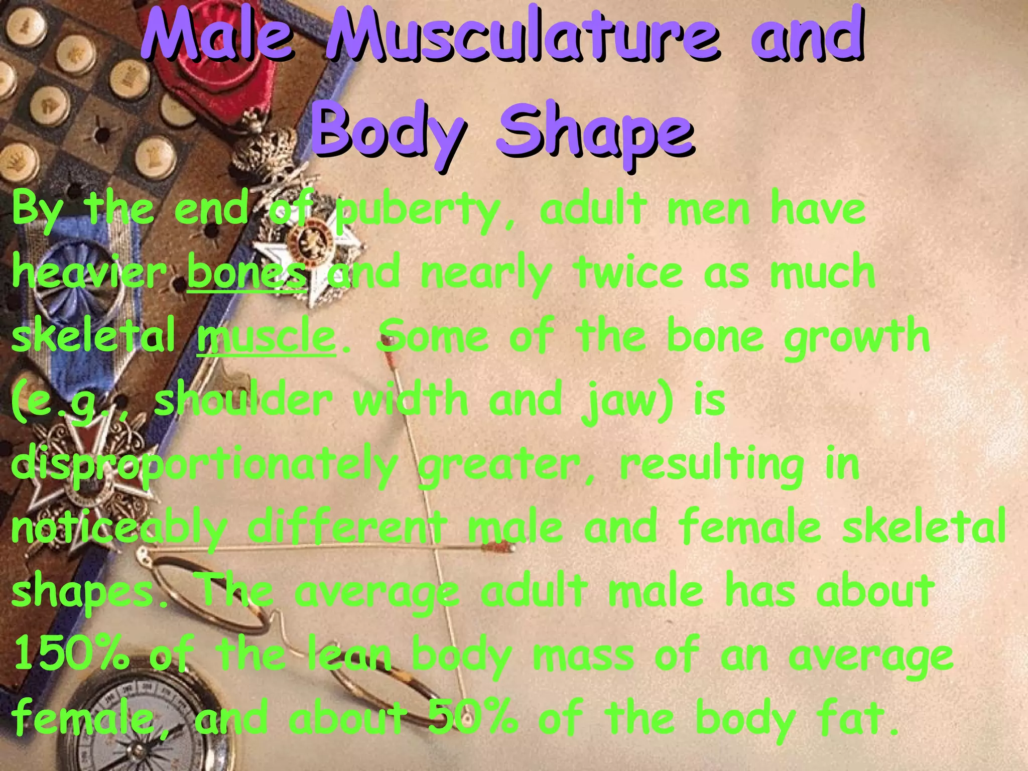 Male Musculature and Body Shape By the end of puberty, adult men have heavier  bones  and nearly twice as much skeletal  muscle . Some of the bone growth (e.g., shoulder width and jaw) is disproportionately greater, resulting in noticeably different male and female skeletal shapes. The average adult male has about 150% of the lean body mass of an average female, and about 50% of the body fat. 