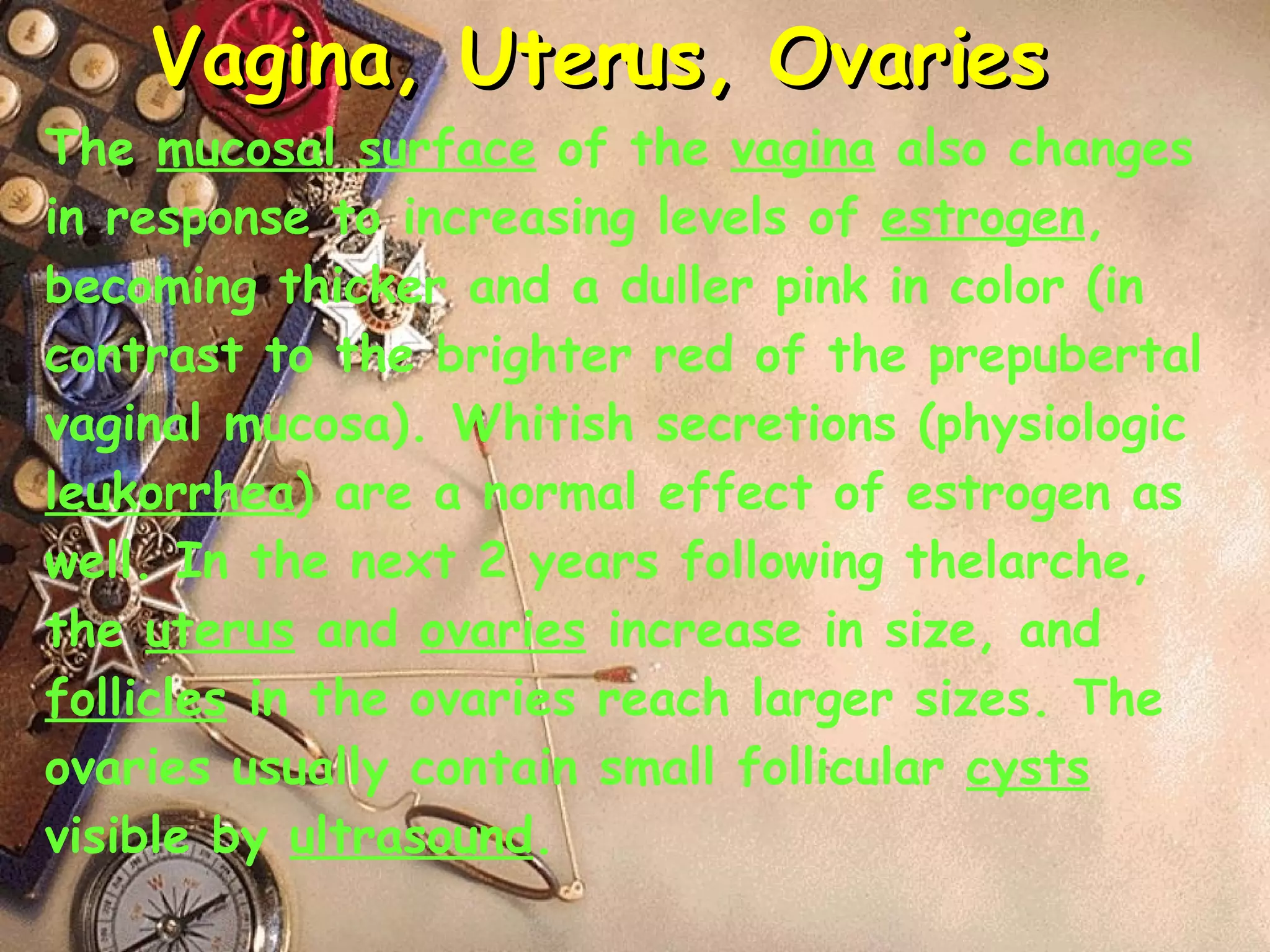 Vagina, Uterus, Ovaries The  mucosal surface  of the  vagina  also changes in response to increasing levels of  estrogen , becoming thicker and a duller pink in color (in contrast to the brighter red of the prepubertal vaginal mucosa). Whitish secretions (physiologic  leukorrhea ) are a normal effect of estrogen as well. In the next 2 years following thelarche, the  uterus  and  ovaries  increase in size, and  follicles  in the ovaries reach larger sizes. The ovaries usually contain small follicular  cysts  visible by  ultrasound .  