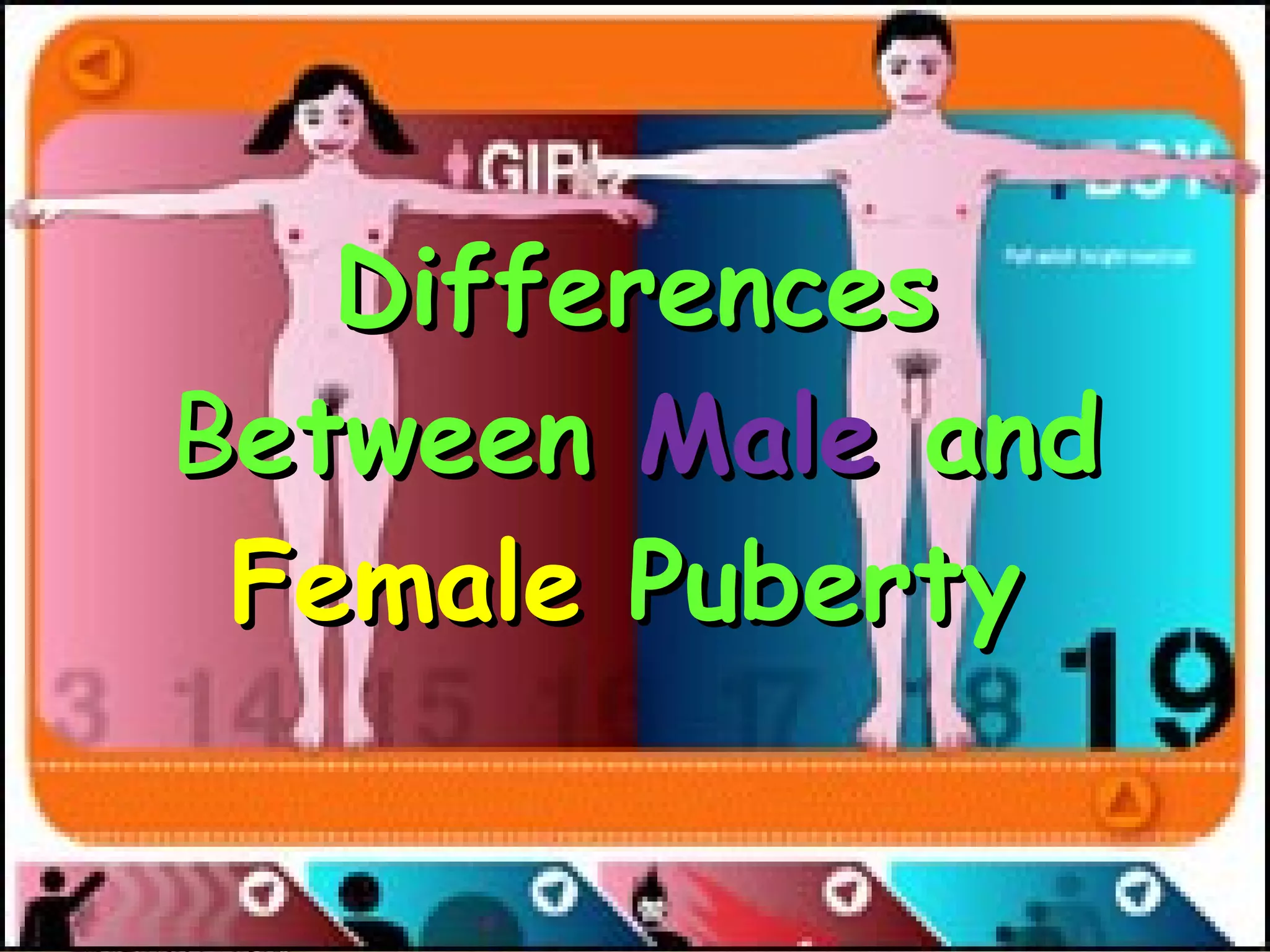 Differences  B etween  Male  and  Female  Puberty   