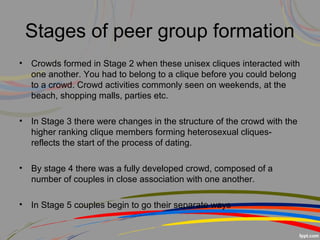 Clique Group Adolescence | PPT