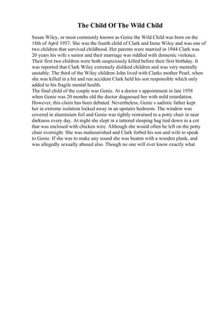 Adolescence Essay | PDF