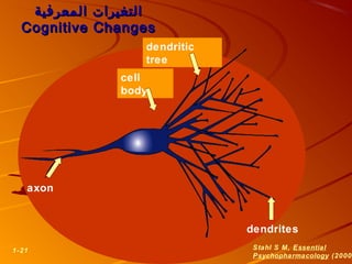 dendrites
dendritic
tree
cell
body
axon
1-21 Stahl S M, Essential
Psychopharmacology (2000
‫المعرفية‬ ‫التغيرات‬‫المعرفية‬ ‫التغيرات‬
Cognitive ChangesCognitive Changes
 