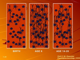 BIRTH AGE 6 AGE 14-20
1-20 Stahl S M, Essential
Psychopharmacology (2000
 