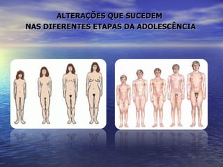 ALTERAÇÕES QUE SUCEDEM  NAS DIFERENTES ETAPAS DA ADOLESCÊNCIA 