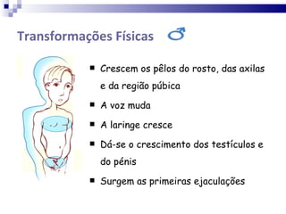 Transformações Físicas Crescem os pêlos do rosto, das axilas e da região púbica A voz muda A laringe cresce Dá-se o crescimento dos testículos e do pénis Surgem as primeiras ejaculações 