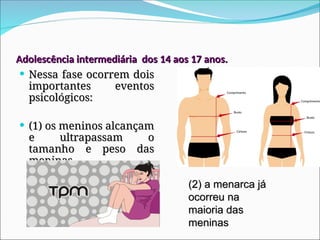Adolescência intermediária dos 14 aos 17 anos.
Adolescência intermediária dos 14 aos 17 anos.
 Nessa fase ocorrem dois
Nessa fase ocorrem dois
importantes eventos
importantes eventos
psicológicos:
psicológicos:
 (1) os meninos alcançam
(1) os meninos alcançam
e ultrapassam o
e ultrapassam o
tamanho e peso das
tamanho e peso das
meninas
meninas
(2) a menarca já
(2) a menarca já
ocorreu na
ocorreu na
maioria das
maioria das
meninas
meninas
 