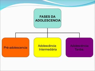 FASES DA
ADOLESCENCIA
Pré-adolescencia
Adolescência
Intermediária
Adolescência
Tardia.
 