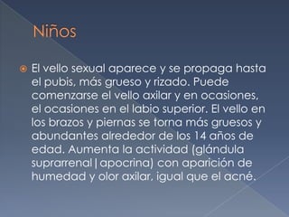 NiñosEl vello sexual aparece y se propaga hasta el pubis, más grueso y rizado. Puede comenzarse el vello axilar y en ocasiones, el ocasiones en el labio superior. El vello en los brazos y piernas se torna más gruesos y abundantes alrededor de los 14 años de edad. Aumenta la actividad (glándula suprarrenal|apocrina) con aparición de humedad y olor axilar, igual que el acné.