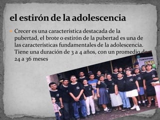 Crecer es una característica destacada de la pubertad, el brote o estirón de la pubertad es una de las características fundamentales de la adolescencia. Tiene una duración de 3 a 4 años, con un promedio de 24 a 36 meses.el estirón de la adolescencia