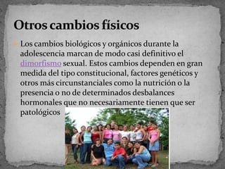 Los cambios biológicos y orgánicos durante la adolescencia marcan de modo casi definitivo el dimorfismosexual. Estos cambios dependen en gran medida del tipo constitucional, factores genéticos y otros más circunstanciales como la nutrición o la presencia o no de determinados desbalances hormonales que no necesariamente tienen que ser patológicosOtros cambios físicos