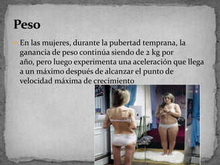 En las mujeres, durante la pubertad temprana, la ganancia de peso continúa siendo de 2 kg por año, pero luego experimenta una aceleración que llega a un máximo después de alcanzar el punto de velocidad máxima de crecimientoPeso