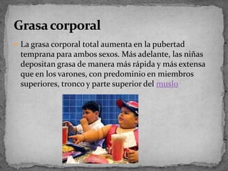 La grasa corporal total aumenta en la pubertad temprana para ambos sexos. Más adelante, las niñas depositan grasa de manera más rápida y más extensa que en los varones, con predominio en miembros superiores, tronco y parte superior del musloGrasa corporal