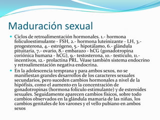 Maduración sexual
 Ciclos de retroalimentación hormonales. 1.- hormona
foliculoestimulante - FSH, 2.- hormona luteinizante - LH, 3.-
progesterona, 4.- estrógeno, 5.- hipotálamo, 6.- glándula
pituitaria, 7.- ovario, 8.- embarazo - hCG (gonadotropina
coriónica humana - hCG), 9.- testosterona, 10.- testículo, 11.-
incentivos, 12.- prolactina PRL. Véase también sistema endocrino
y retroalimentación negativa endocrina.
 En la adolescencia temprana y para ambos sexos, no se
manifiestan grandes desarrollos de los caracteres sexuales
secundarios, pero suceden cambios hormonales a nivel de la
hipófisis, como el aumento en la concentración de
gonadotropinas (hormona folículo estimulante) y de esteroides
sexuales. Seguidamente aparecen cambios físicos, sobre todo
cambios observados en la glándula mamaria de las niñas, los
cambios genitales de los varones y el vello pubiano en ambos
sexos
 