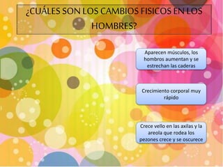 ¿CUÁLES SON LOS CAMBIOS FISICOS EN LOS 
HOMBRES? 
Aparecen músculos, los 
hombros aumentan y se 
estrechan las caderas 
Crecimiento corporal muy 
rápido 
Crece vello en las axilas y la 
areola que rodea los 
pezones crece y se oscurece 
 