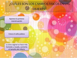 ¿CUÁLES SON LOS CAMBIOS FISICOS EN LAS 
MUJERES? 
Aparece la primera 
menstruación 
Crece el vello púbico 
La zona vaginal se hace más 
húmeda y rosada, aumenta 
el tamaño del clítoris 
 