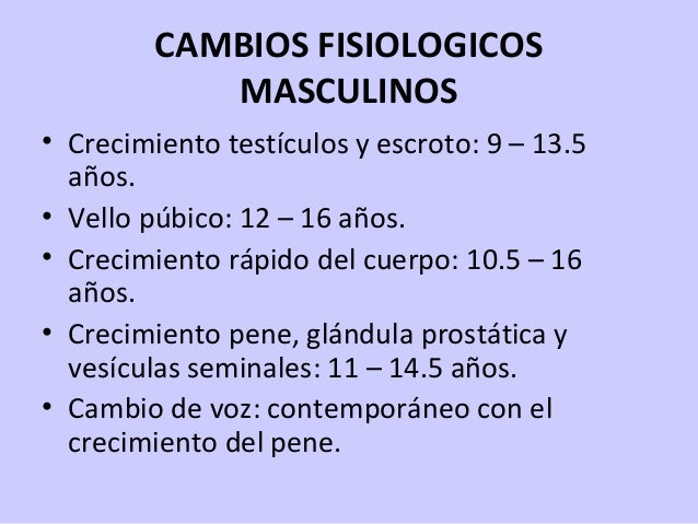 El medio para el aumento polovova del miembro