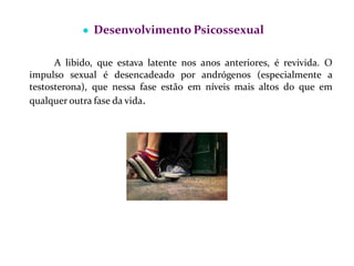 ● Desenvolvimento Psicossexual
A libido, que estava latente nos anos anteriores, é revivida. O
impulso sexual é desencadeado por andrógenos (especialmente a
testosterona), que nessa fase estão em níveis mais altos do que em
qualquer outra fase da vida.
 