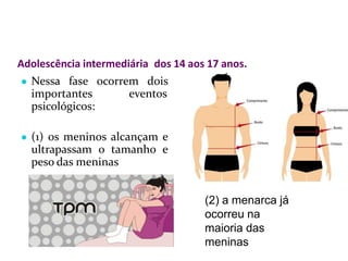 Adolescência intermediária dos 14 aos 17 anos.
● Nessa fase ocorrem dois
importantes eventos
psicológicos:
● (1) os meninos alcançam e
ultrapassam o tamanho e
peso das meninas
(2) a menarca já
ocorreu na
maioria das
meninas
 