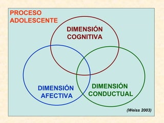 PROCESO ADOLESCENTE DIMENSIÓN COGNITIVA DIMENSIÓN  AFECTIVA DIMENSIÓN  CONDUCTUAL (Weiss 2003) 