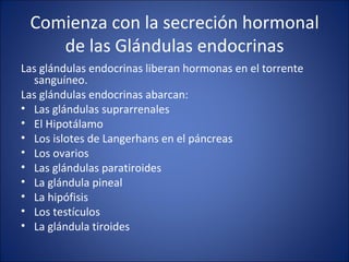 Comienza con la secreción hormonal de las Glándulas endocrinas Las glándulas endocrinas liberan hormonas en el torrente sanguíneo. Las glándulas endocrinas abarcan: Las glándulas suprarrenales  El Hipotálamo  Los islotes de Langerhans en el páncreas  Los ovarios  Las glándulas paratiroides  La glándula pineal  La hipófisis  Los testículos  La glándula tiroides  
